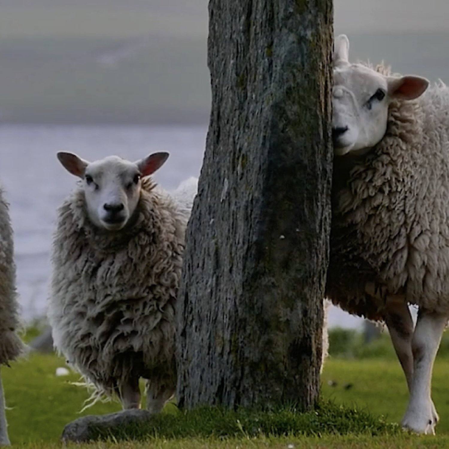 For ethical and responsible fashion