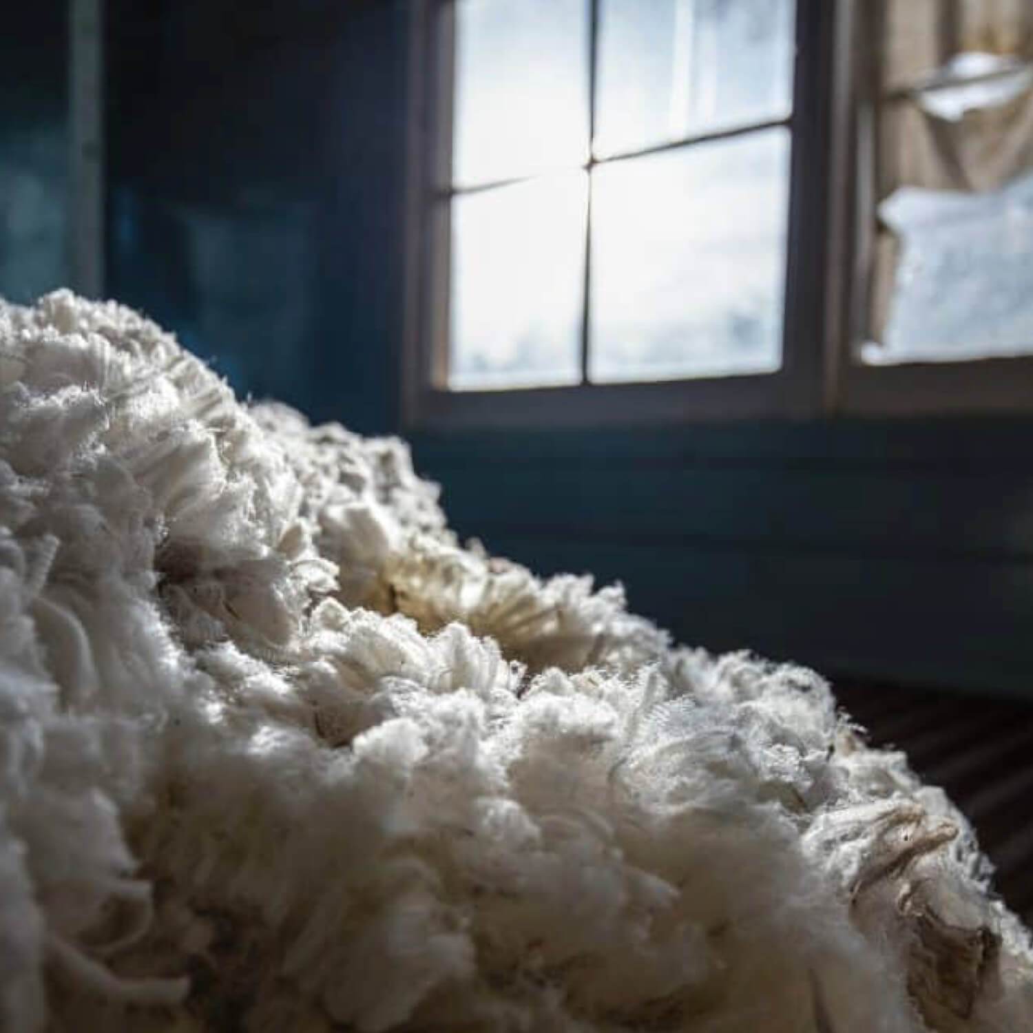 The secrets of a natural material: wool